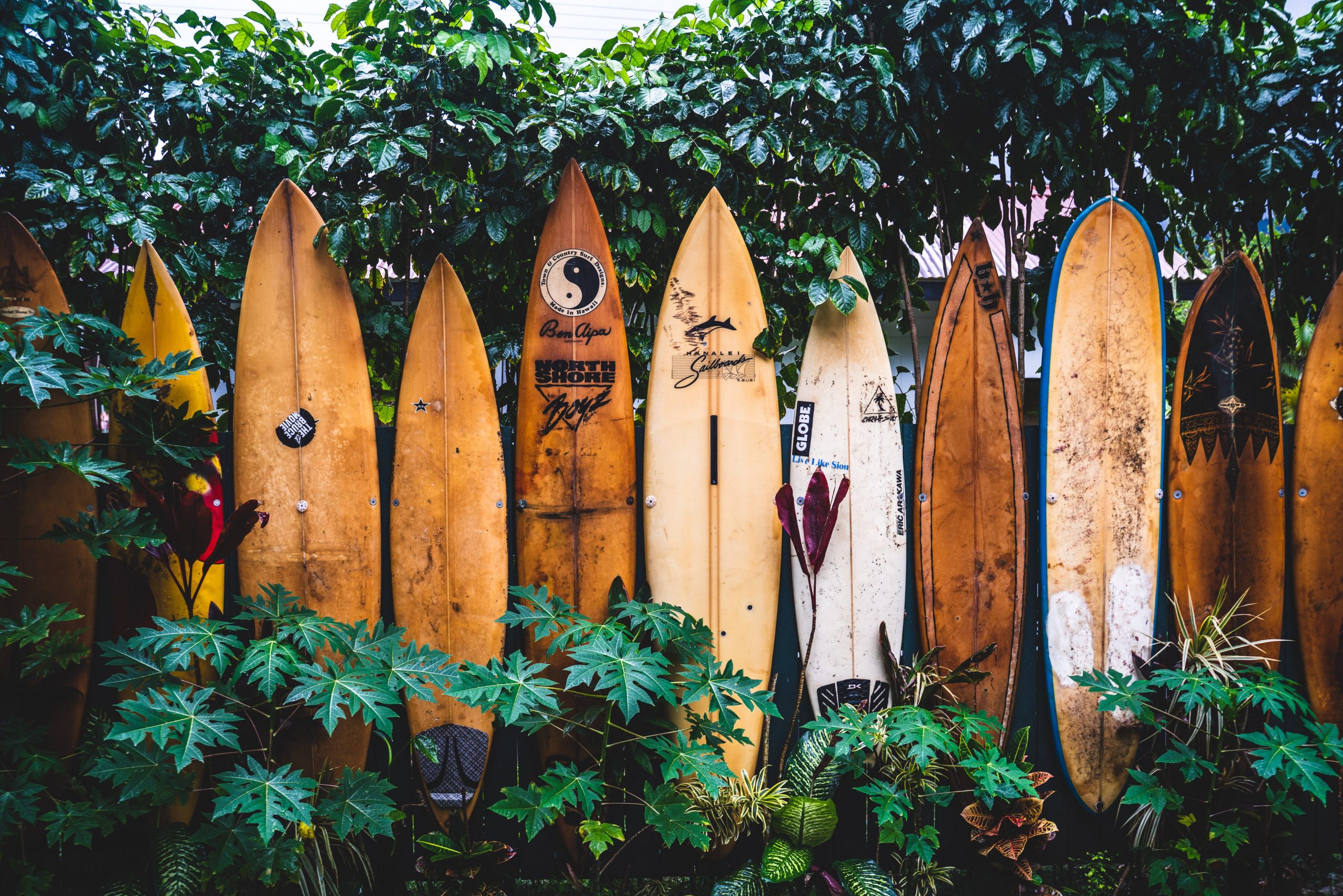 best beaches in hawaii for surfing