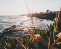 9 Incredible Beginner Surf Spots in Santa Cruz